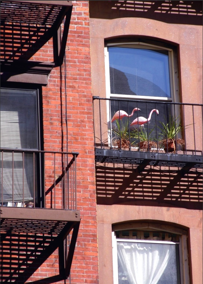 Flamingo in the City Greeting Card